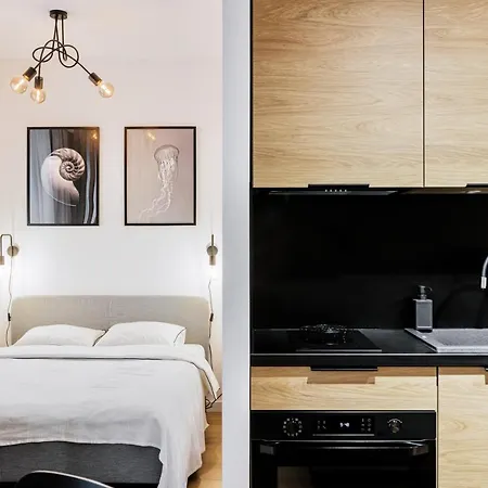Angielska Grobla Apartment